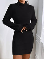 Turtleneck Ribbed Knit Sweater Dress.