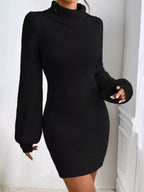 Turtleneck Ribbed Knit Sweater Dress.